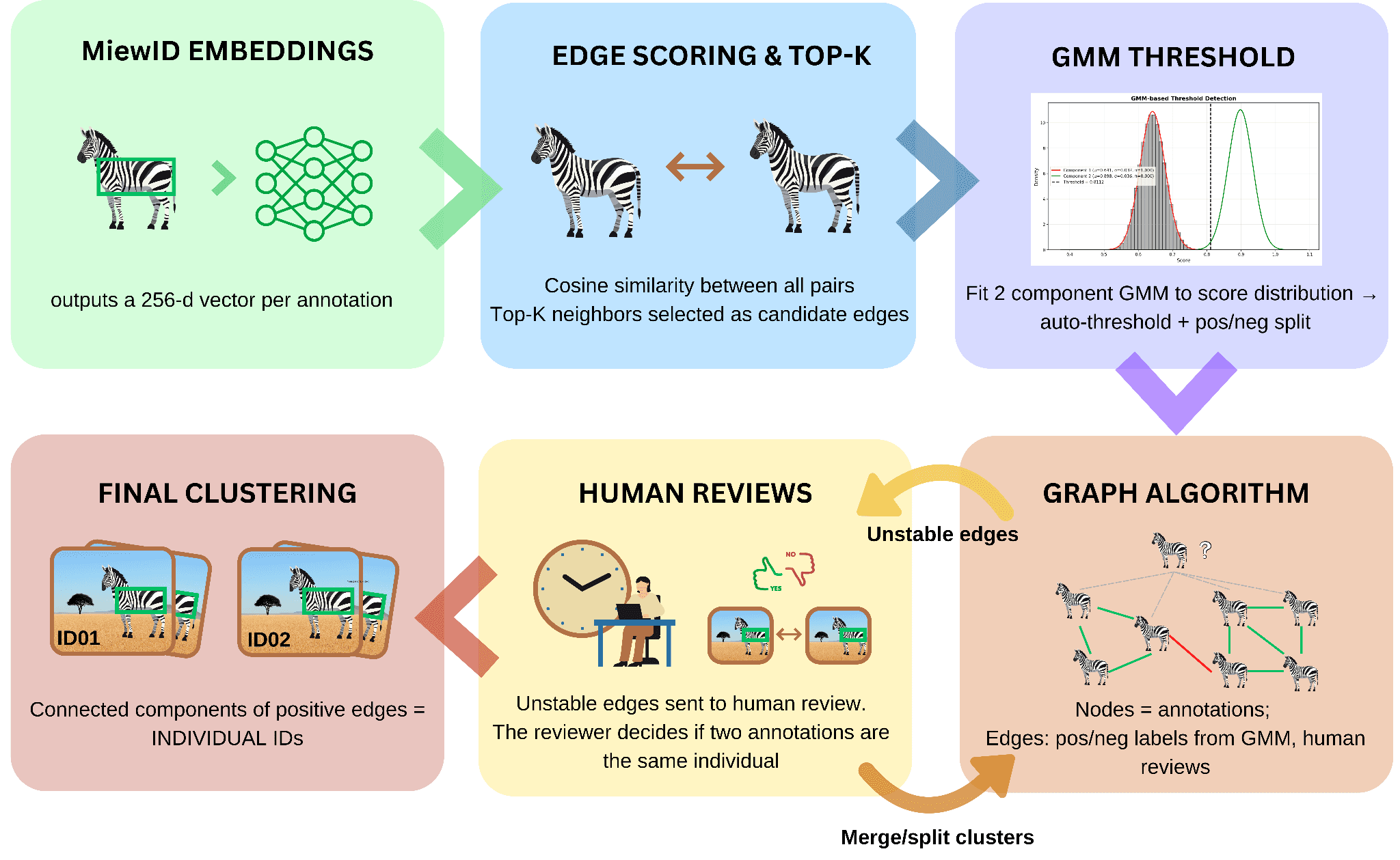 Information-Theoretic Active Correlation Clustering
