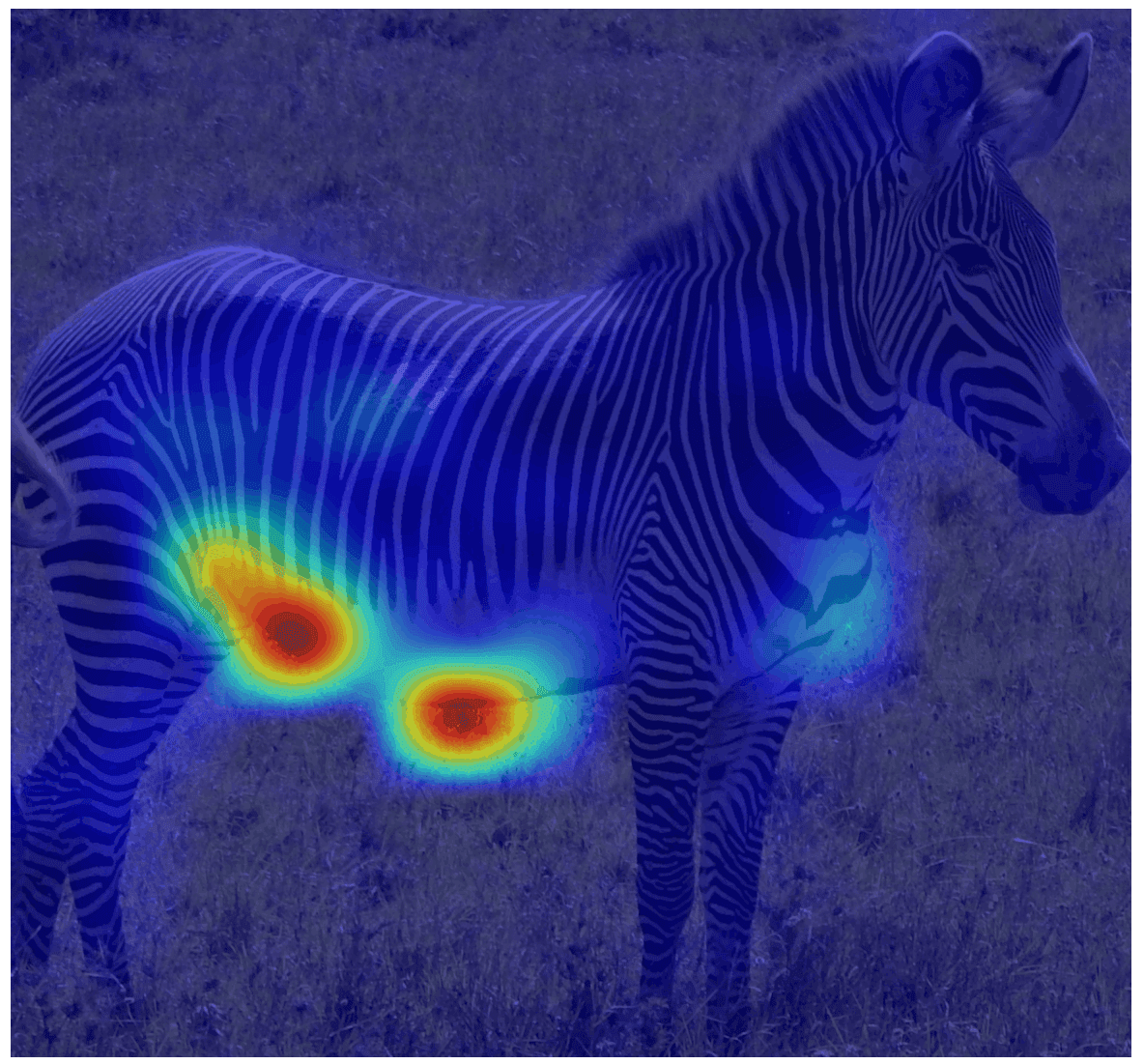 Patch Aggregation for Fine-Grained Age and Sex Classification