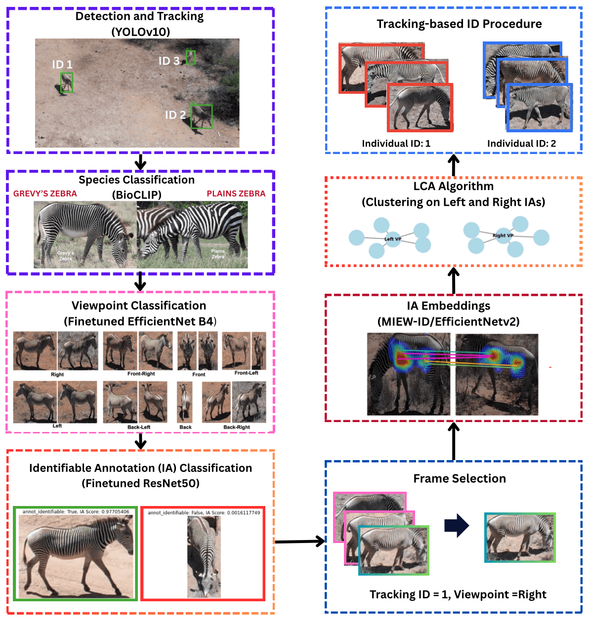 Grevy's Zebra Re-Identification Pipeline